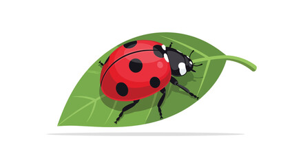 A red ladybug resting on a green leaf depicted as a flat vector illustration silhouette beetle insect coccinellidae black spots © AfiaIslam
