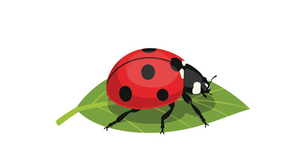 A red ladybug resting on a green leaf depicted as a flat vector silhouette beetle insect coccinellidae scarlet crimson leaf © AfiaIslam