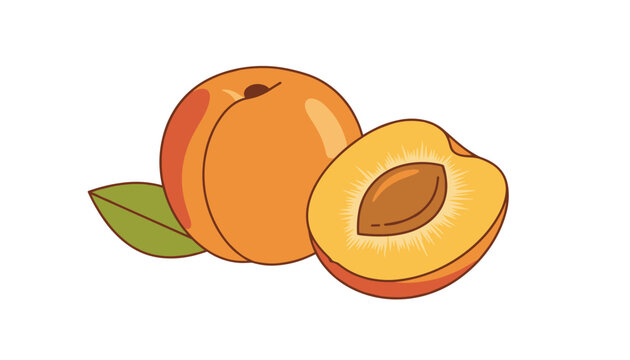 Ripe whole peach and halved juicy peach showing its wooden seed pit with green leaf on white background.