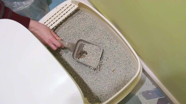 person scoops waste from cat litter box to maintain hygiene. odor absorbing litter keeps home fresh and clean. proper litter management ensures good pet care routine and animal welfare.
