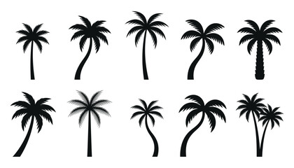 Obraz premium Set of black silhouettes of palm trees