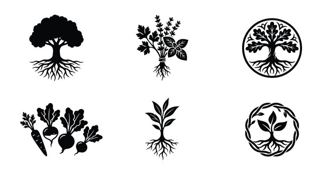 Variety Of Plant Silhouettes Black Vector Illustration On White Background