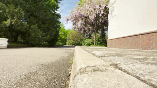 A concrete curb separates a stone walkway from a smooth asphalt path. Nearby, blooming purple wisteria branches sway gently in the spring breeze. Their subtle movement blends into the ambient hum