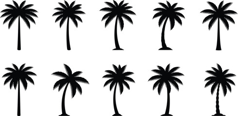Fototapeta premium Black palm tree silhouettes on white background