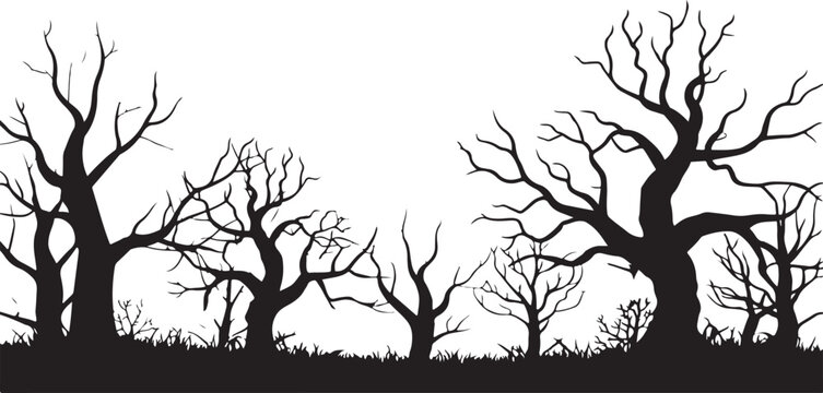 Spooky forest scene with group of bare trees and withered grass silhouettes creating dark gloomy atmosphere for eerie scary setting.