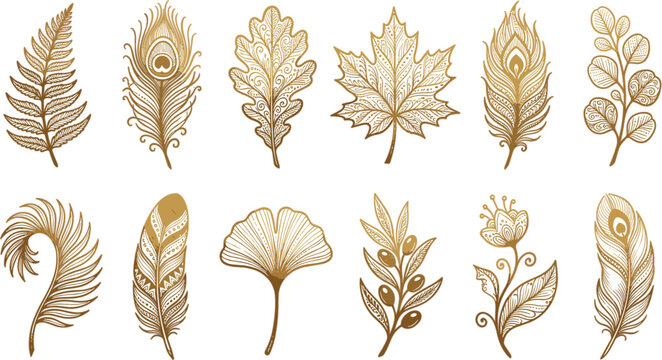 Golden Boho Vector Set Featuring Intricate Hand Drawn Feathers, Autumn Leaves, Ginkgo, Olive Branches, and Ornamental Botanical Elements for Luxury Design