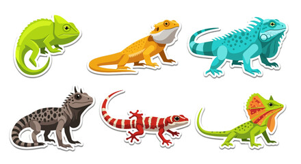 Fototapeta premium A vibrant collection of diverse lizard species, showcasing their unique colors and characteristics in a detailed, illustrative style.