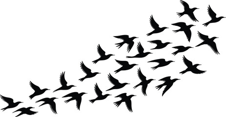 Migratory flock of wild flying birds black silhouettes element set isolated on white background freedom nature wildlife concept vector illustration graphic designMigratory flock of wild flying birds b © MdAnowar