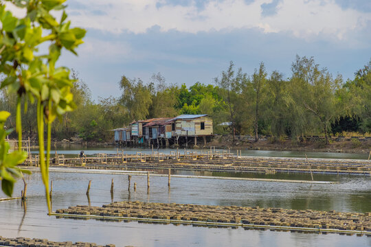 Lakeside crab farm with floating cages and rustic huts