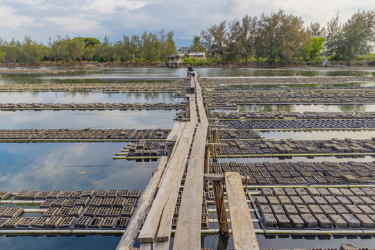 Crab farm grids on a calm lake with wooden pier view
