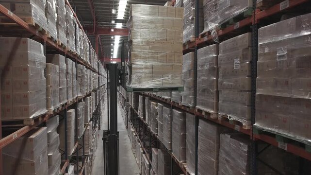 Maquinaria elevadora moviendo cajas en dep&oacute;sito de stock industrial, sistema log&iacute;stico y almacenamiento automatizado