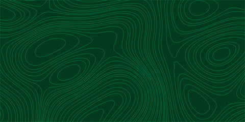 Green abstract topographic map contour background vector illustration © Lily