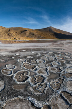Andean salt flat at Laguna Espejo, Catamarca, Argentina