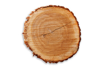 Fototapeta premium Detailed Close Up of Cut Wood Log Showing Tree Rings and Rough Bark