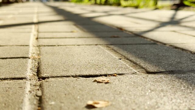 Concrete paving stones absorb the warm morning sun as shadows stretch across the path. A distant city wakes up, resulting in a gentle, low-frequency hum of early morning traffic and rustling leaves.
