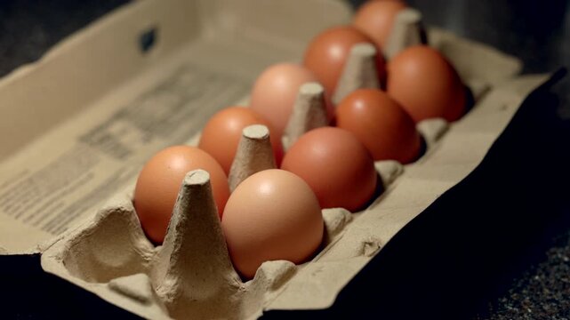 Brown eggs sit in a cardboard carton. Soft lighting pases from side to side creating long shadows.