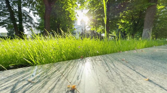 The morning sun shines brightly through lush park trees behind a historic cathedral. Light winds blow through the tall grass blades, resulting in a faint rustling and whispering sound.