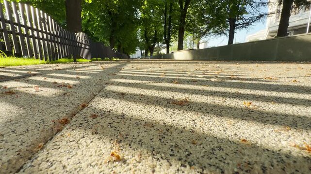 Dark fence shadows stripe across a gravel-textured walkway dotted with small fallen petals. A nearby boulevard begins its day, resulting in the faint, muffled hum of morning traffic.