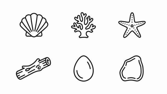 Seashell, Coral, Starfish, Wood, Egg, Stone Icons