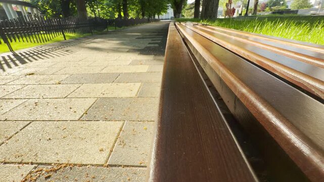 A polished wooden bench stretches along a paved walkway under a canopy of mature park trees. The urban day begins nearby, resulting in a low, continuous rumble of distant background traffic.