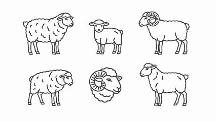 Set of Sheep Icons: Ram, Ewe, Lamb, Outline Vector Illustrations © alpha
