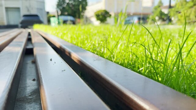 A low-angle view shows the smooth wooden slats of a park bench bordering a bright green lawn. The peaceful urban scene is accompanied by the distant, steady hum of morning city traffic.
