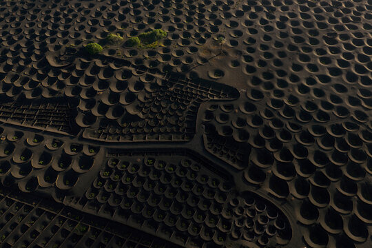 Aerial view of La Geria grape vineyard in magical light
