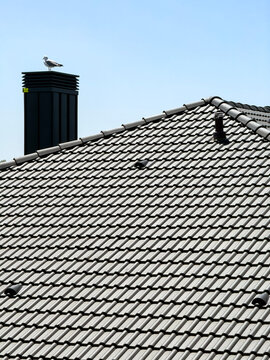 Modern roof tile construction with chimney and seagull