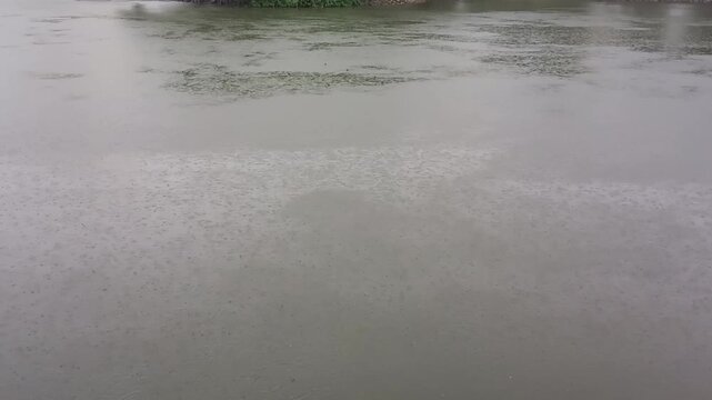 Raining on lake water surface 