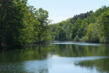 Fototapeta premium Peaceful forest river reflects bright blue sky