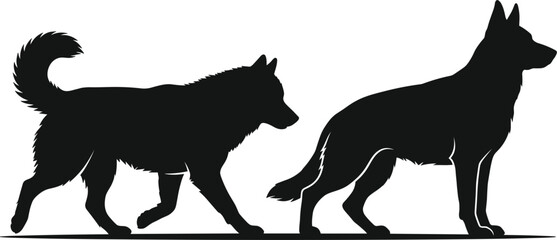 Black Silhouette of Husky and German Shepherd Dogs Walking Together Vector Illustration Isolated on White Background for Pet Design © MDPappu