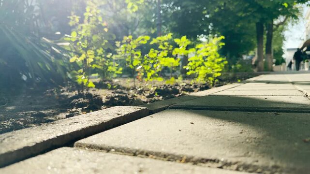 A stone tile sidewalk stretches along a garden bed under the bright morning sun. A distant silhouette of a person walks down the path, surrounded by the quiet hum of the morning city.