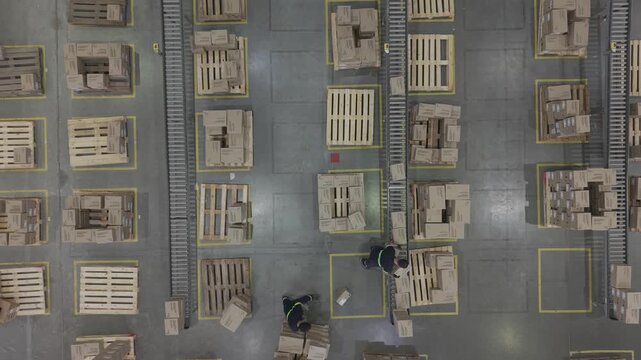 F&aacute;brica en funcionamiento con cinta transportadora y cajas en proceso, obreros trabajando en producci&oacute;n industrial vista cenital, footage industria, trabajo, industrializaci&oacute;n, desarrollo