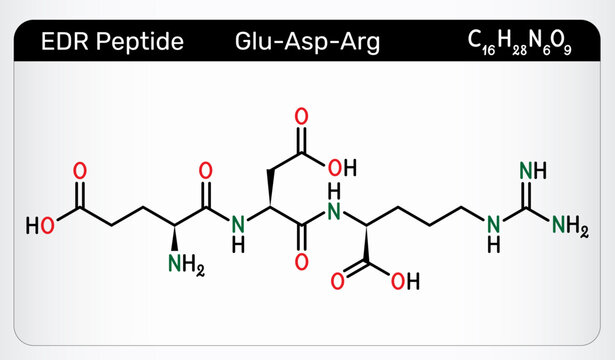 EDR peptide molecule, synthetic tripeptide of sequence Glu-Asp-Arg, glutamyl aspartyl arginine amino acid chain, brain and vascular bioregulator, geroprotector for anti aging