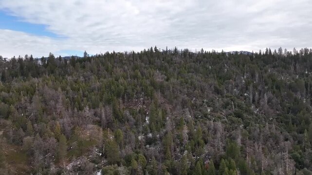 Aerial view of forested mountains with patches of winter snow under a cloudy sky in California