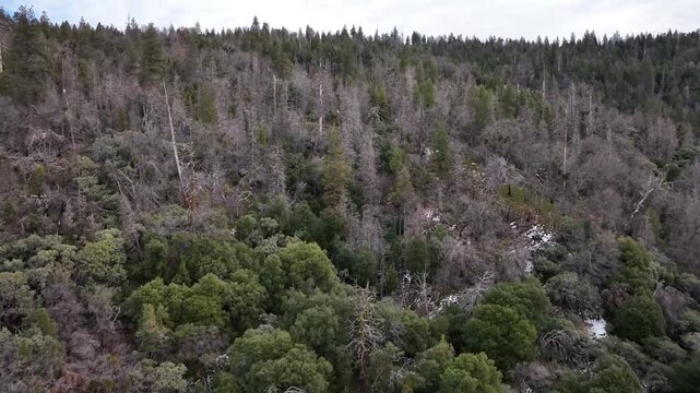 Aerial view of forested mountains with patches of winter snow under a cloudy sky in California