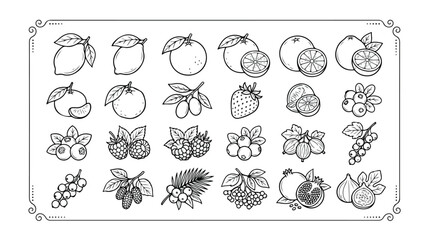 Outline fruit and berry vector icon set, black and white line art illustration of citrus, tropical, and garden fruits, healthy food and natural ingredient graphic resources for design projects. © Jamie