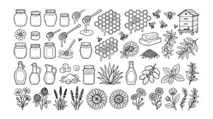 Obraz premium Natural Honey and Bee Products Vector Icon Set, organic apiary elements, sweet food ingredients, herbal plant illustrations, and healthy lifestyle graphics for packaging and branding.
