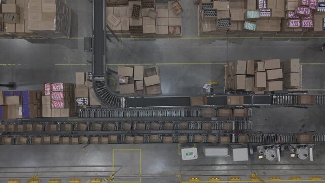 F&aacute;brica en funcionamiento con cinta transportadora y cajas en proceso, obreros trabajando en producci&oacute;n industrial vista cenital, footage industria, trabajo, industrializaci&oacute;n, desarrollo