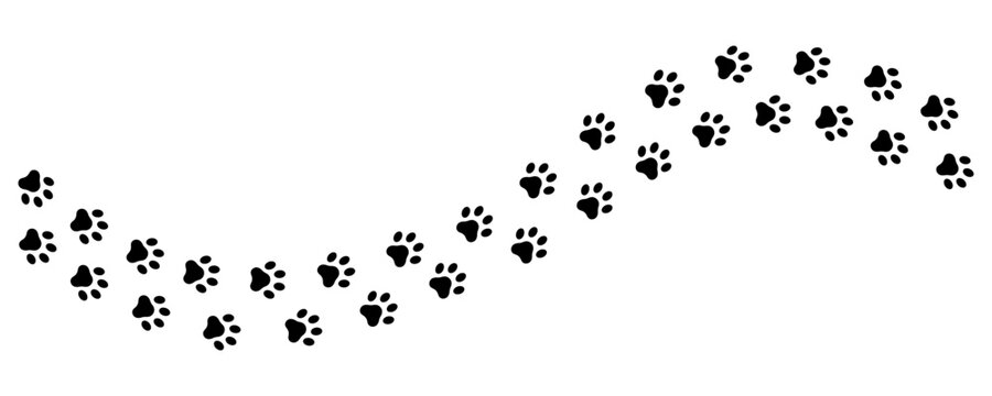 Dog or cat paw print isolated on transparent background, animal footprint track, pet paw walk trace vector.