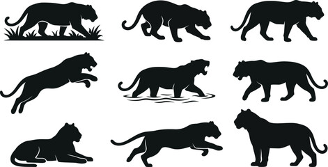 Black silhouettes of tigers in various poses and movements on white background © SAYEDAJANNATUL