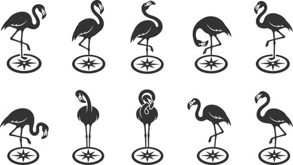 Stylized flamingo characters riding unicycles in various poses as a vector illustration set for creative branding © Vecto_Pixels