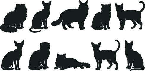 Set of black cat silhouettes in various sitting and standing poses © SAYEDAJANNATUL
