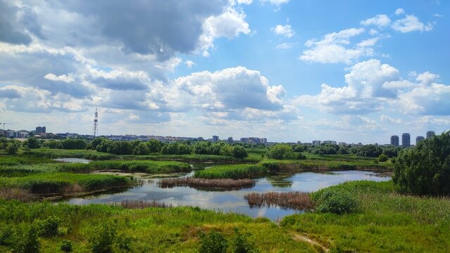 Vacaresti Nature Park, Bucharest, Romania &ndash; Urban Wetland Landscape