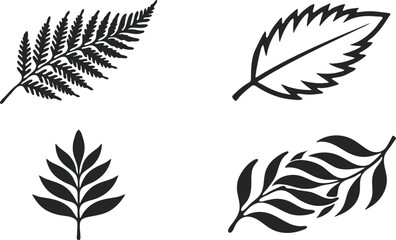 Botanical Leaf Silhouette Set with Fern and Decorative Plant Branches © New World