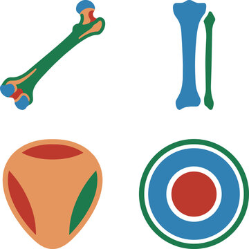 Human Bone Anatomy and Orthopedics Structure Vector Icon Set, Femur and Tibia Diagram