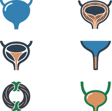 Urinary Bladder Anatomy and Urology Structure Vector Icon Set, Bladder Diagram
