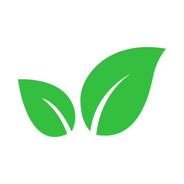 Green Leaves Icon Two Leaf Eco Symbol for Nature Organic and Environmental Design