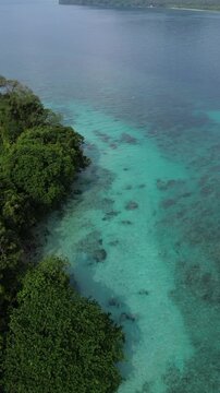 Top Down Aerial Of Green Island Shore And Coral Reef Bommies