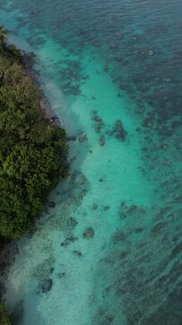 Top Down Aerial Of Green Island Edge And Coral Reef Shallows